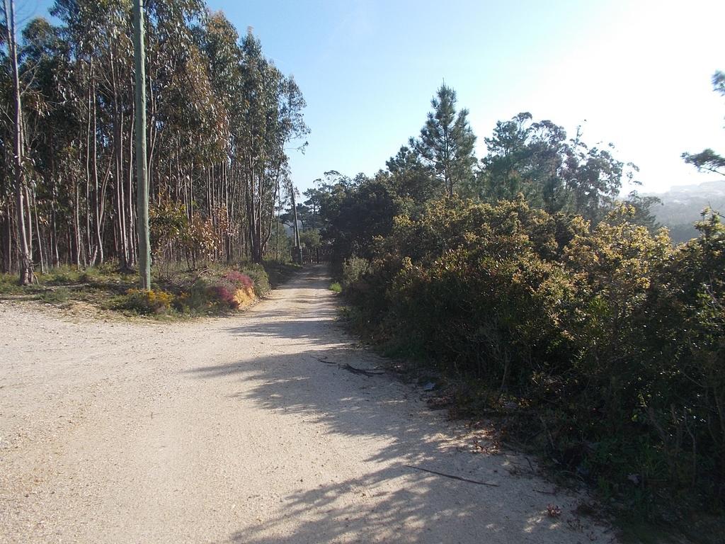 Ecobosque Villa Nadadouro ภายนอก รูปภาพ