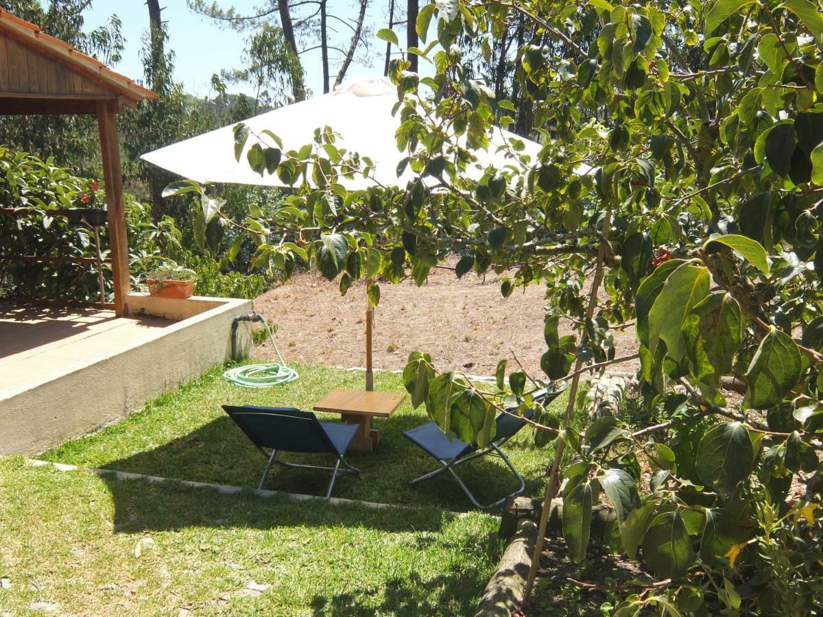 Ecobosque Villa Nadadouro ภายนอก รูปภาพ